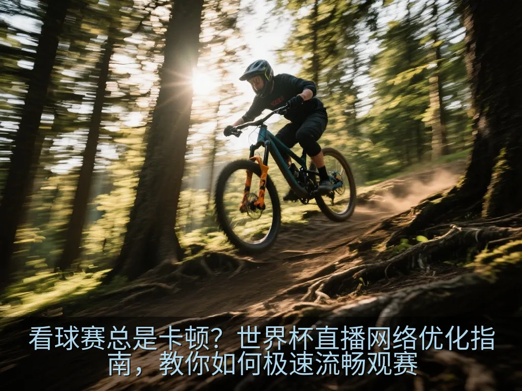 移动端网络测速与体育直播数据分析